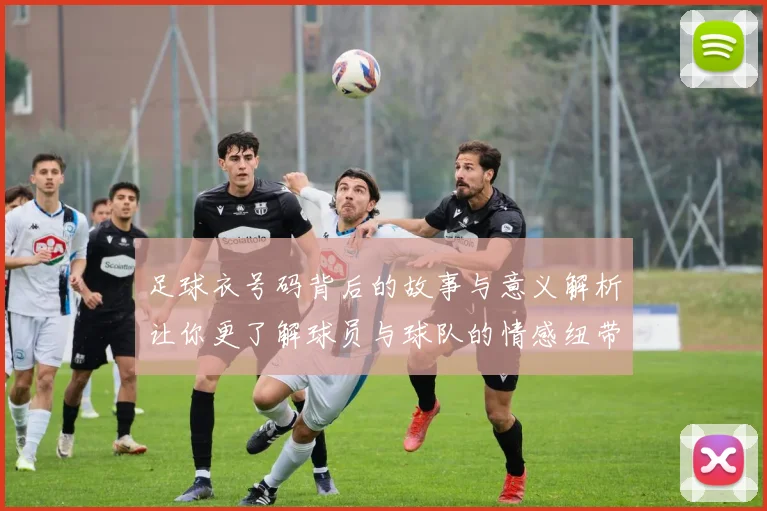 足球衣号码背后的故事与意义解析让你更了解球员与球队的情感纽带