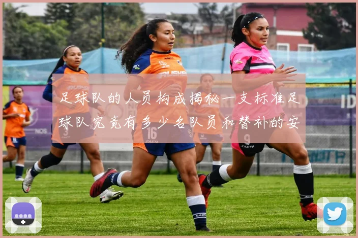 足球队的人员构成揭秘一支标准足球队究竟有多少名队员和替补的安排