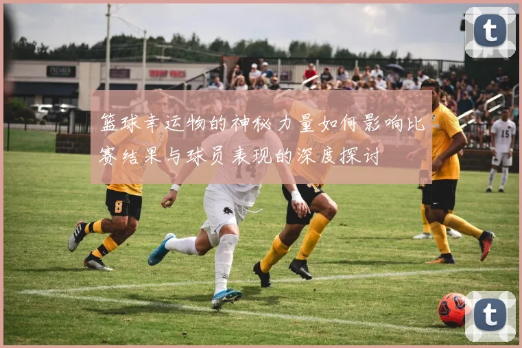 篮球幸运物的神秘力量如何影响比赛结果与球员表现的深度探讨