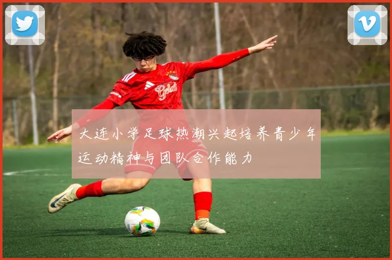 大连小学足球热潮兴起培养青少年运动精神与团队合作能力