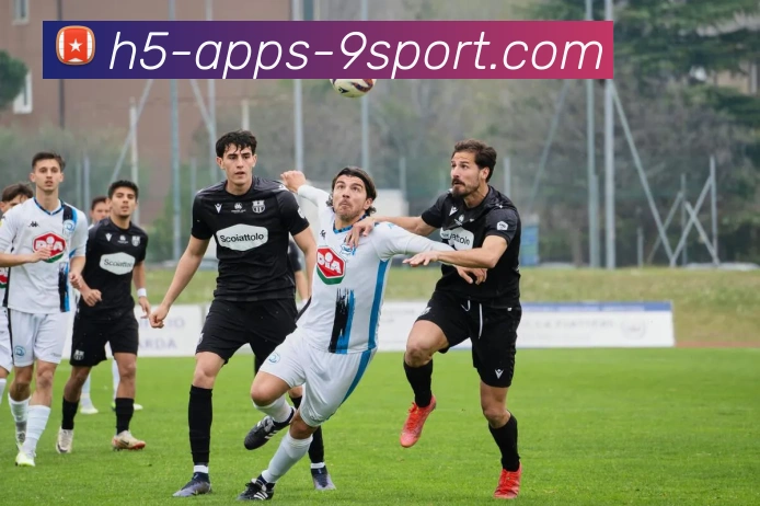 九游体育全站App